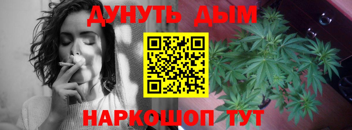 Бошки марихуана планчик Тосно